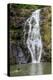 Waimea Falls, Waimea Valley Audubon Park, North Shore-Michael DeFreitas-Premier Image Canvas
