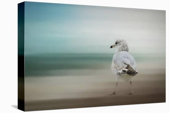 Waiting for the Tide-Jai Johnson-Premier Image Canvas