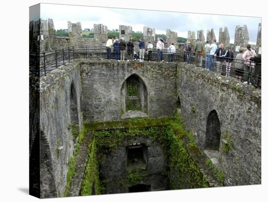 Waiting in Line To Kiss The Blarney Stone, Blarney Castle, Ireland-Cindy Miller Hopkins-Premier Image Canvas