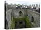 Waiting in Line To Kiss The Blarney Stone, Blarney Castle, Ireland-Cindy Miller Hopkins-Premier Image Canvas