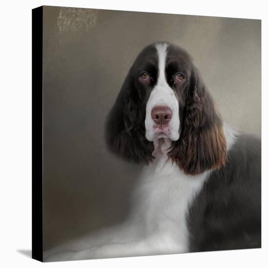 Waiting Patiently English Springer Spaniel-Jai Johnson-Premier Image Canvas