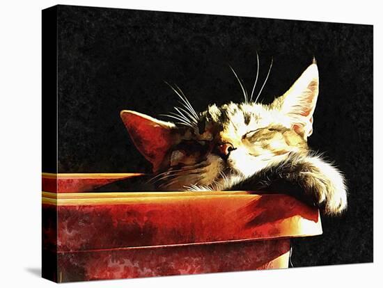 Wake Me When It Is Dinner Time-Dorothy Berry-Lound-Premier Image Canvas