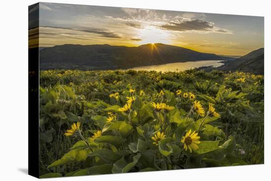 Wake Up Call-Danny Head-Premier Image Canvas