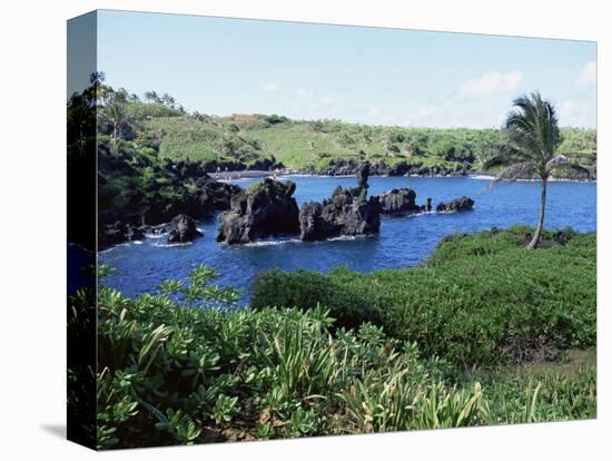 Walanapanapa Black Sand Beach, Hana Coast, Maui, Hawaii, Hawaiian Islands, USA-Alison Wright-Premier Image Canvas