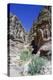 Walk to El Deir (The Monastery), Petra, Jordan-Vivienne Sharp-Premier Image Canvas