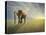 Walk With the Light-Ben Heine-Premier Image Canvas