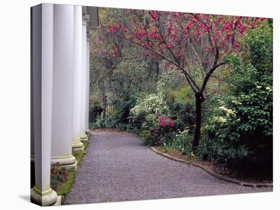 Walkway in Gardens, Magnolia Plantation and Gardens, Charleston, South Carolina, USA-Julie Eggers-Premier Image Canvas