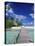 Walkway, Tahiti, French Polynesia, Oceania-Bill Bachmann-Premier Image Canvas
