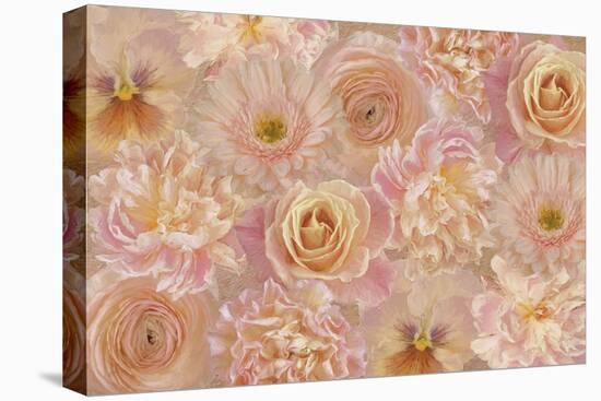 Wall Flowers Apricot-Pink-Cora Niele-Premier Image Canvas