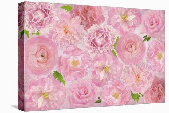 Wall Flowers Pink-Cora Niele-Premier Image Canvas