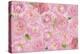 Wall Flowers Pink-Cora Niele-Premier Image Canvas