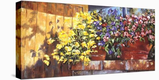 Wall Flowers-Mary Schaefer-Stretched Canvas