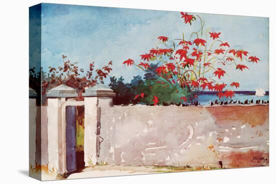 Wall, Nassau, c.1898-Winslow Homer-Stretched Canvas