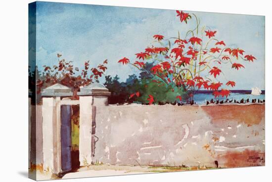 Wall, Nassau, c.1898-Winslow Homer-Stretched Canvas