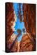 Wall Street, Bryce Canyon National Park, Utah-Michael DeFreitas-Premier Image Canvas