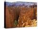 Wall Street, Navajo Loop Trail, Bryce Canyon National Park, Utah, USA-null-Premier Image Canvas