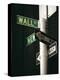 Wall Street Sign, New York City, New York State, USA-Walter Rawlings-Premier Image Canvas