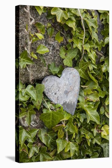 Wall with ivy, heart from stone, close up, still life-Andrea Haase-Premier Image Canvas