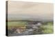 Wallabrook, Clapper Bridge, Dartmoor , C.1895-96-Frederick John Widgery-Premier Image Canvas