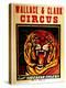 Wallace & Clark Cirbus - Giant Siberian Tigers Poster, Circa 1945-null-Premier Image Canvas