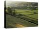 Walled Fields and Barns, Swaledale, Yorkshire Dales National Park, Yorkshire, England, UK-Patrick Dieudonne-Premier Image Canvas