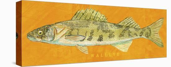 Walleye-John Golden-Stretched Canvas