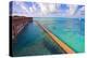 Walls Of Fort Jefferson Dry Tortugas Florida-George Oze-Premier Image Canvas