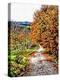 Walnut Avenue In Autumn Umbria-Dorothy Berry-Lound-Premier Image Canvas