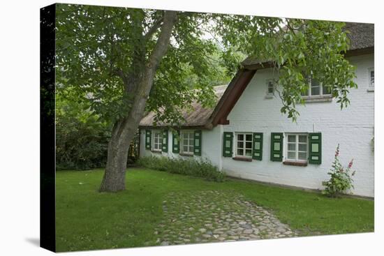 Walnut Tree in the Garden of an Old Thatched House-Uwe Steffens-Premier Image Canvas