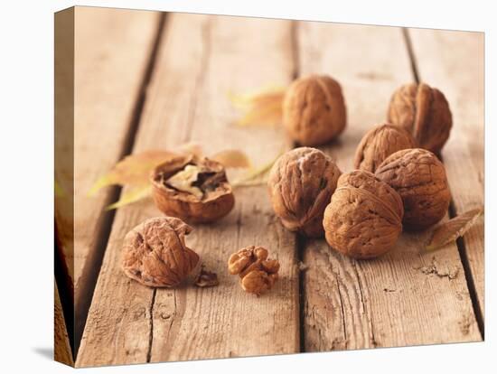 Walnuts on a Wooden Background-Matthias Hoffmann-Premier Image Canvas