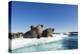 Walrus Herd on Ice, Hudson Bay, Nunavut, Canada-Paul Souders-Premier Image Canvas