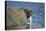 Walrus in Hudson Bay, Nunavut, Canada-Paul Souders-Premier Image Canvas