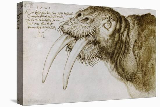 Walrus, Pen and Ink on Paper, 1521-Albrecht Dürer-Premier Image Canvas