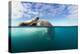 Walrus, Svalbard, Norway-Paul Souders-Premier Image Canvas