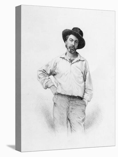 Walt Whitman, Frontispiece to 'Leaves of Grass', 1855 (Engraving)-American-Premier Image Canvas