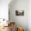 Walter Scale in the Kitchen of His Geodesic Dome House with His Children-John Dominis-Premier Image Canvas displayed on a wall