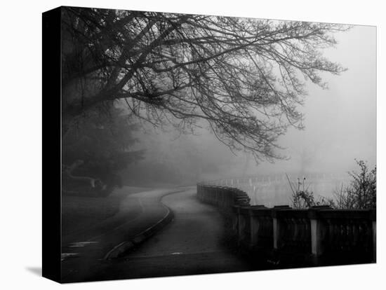 Wandering, Dreaming-Sharon Wish-Premier Image Canvas