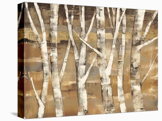 Wandering Through the Birches III-Albena Hristova-Stretched Canvas