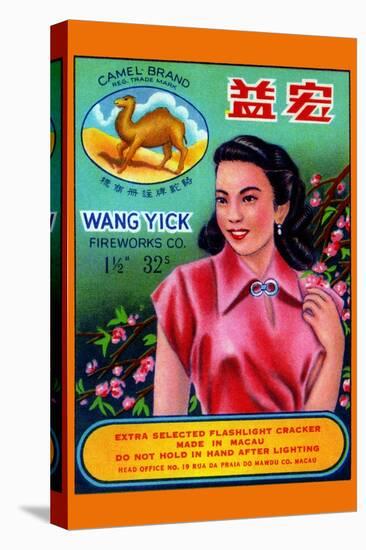 Wang Yick Fireworks-null-Stretched Canvas