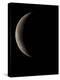 Waning Crescent Moon-Eckhard Slawik-Premier Image Canvas