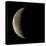 Waning Crescent Moon-Eckhard Slawik-Premier Image Canvas