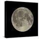 Waning Gibbous Moon-Eckhard Slawik-Premier Image Canvas