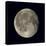 Waning Gibbous Moon-Eckhard Slawik-Premier Image Canvas