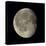 Waning Gibbous Moon-Eckhard Slawik-Premier Image Canvas