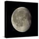 Waning Gibbous Moon-Eckhard Slawik-Premier Image Canvas