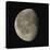 Waning Gibbous Moon-Eckhard Slawik-Premier Image Canvas