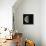 Waning Gibbous Moon-Eckhard Slawik-Premier Image Canvas displayed on a wall