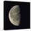 Waning Gibbous Moon-Eckhard Slawik-Premier Image Canvas