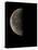 Waning Half Moon-Eckhard Slawik-Premier Image Canvas