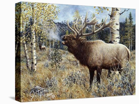 Wapiti-Jeff Tift-Premier Image Canvas